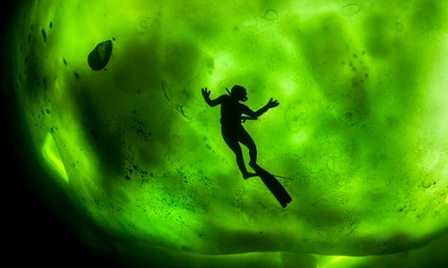 Cực quang nhìn từ dưới làn nước biển.