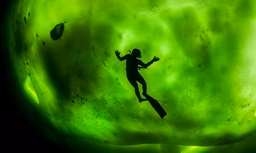 Cực quang nhìn từ dưới làn nước biển.