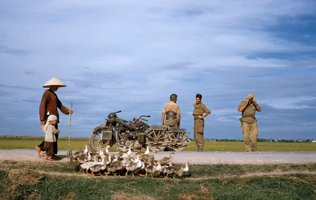 Cụ bà và đứa cháu lùa đàn vịt qua một nhóm quân Pháp trên đường từ Nam Định đi Thái Bình.
