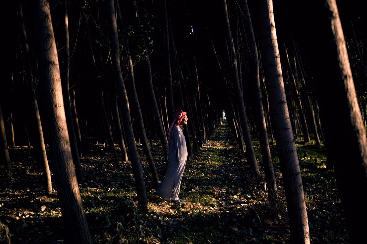 Sayid, 77 tuổi, cùng vợ tháo chạy khỏi Aleppo (Syria) năm 2012. Hiện tại, anh làm công việc trông coi một một khu rừng ở thung lũng Bekaa nhưng khoản thù lao mà ông nhận được cũng rất “bèo bọt”, không đủ trang trải cho cuộc sống.