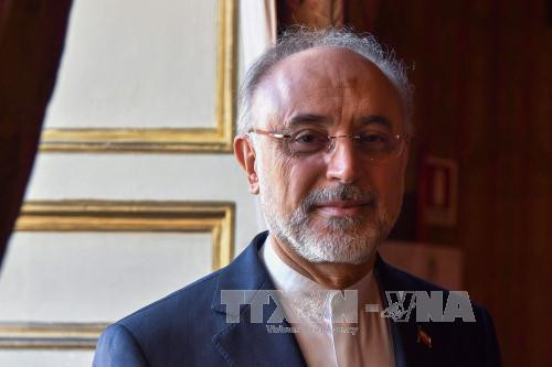 Giám đốc Tổ chức Năng lượng Nguyên tử Iran Ali Akbar Salehi trong cuộc họp tại Rome, Italy ngày 10/10/2017.