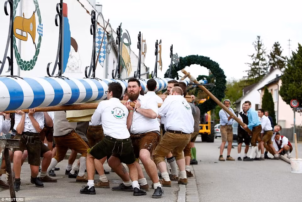 Tại Bavaria (Đức), mọi người dựng cây cột lớn chuẩn bị cho sự kiện kỷ niệm ngày Quốc tế Lao động.