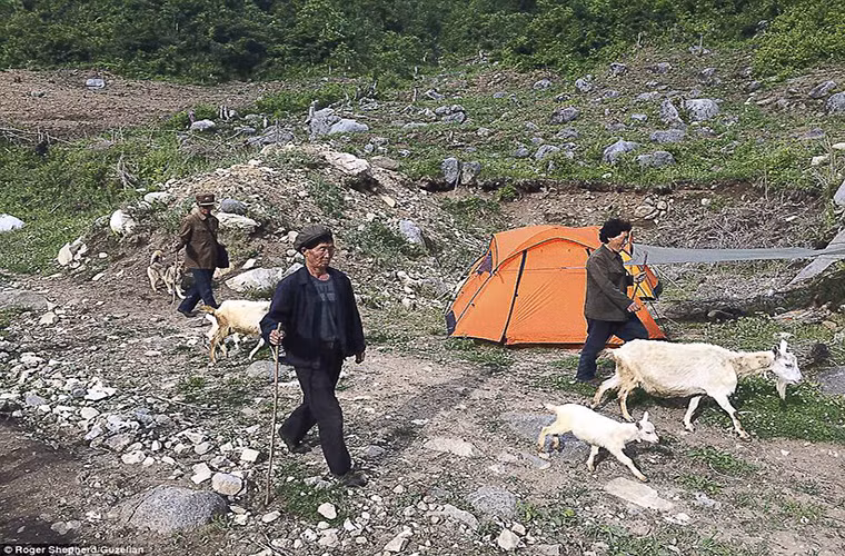 Người dân Triều Tiên chăn thả dê ở làng Ryeongjo-ri, huyện Beopdong, tỉnh Kangwon-do.