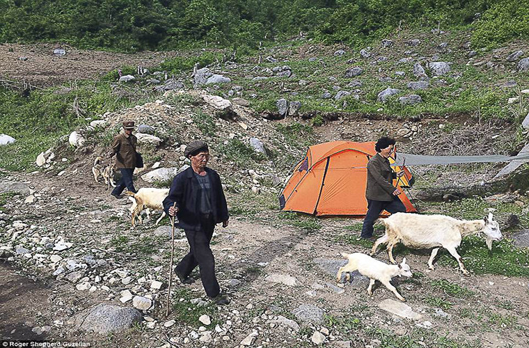 Người dân Triều Tiên chăn thả dê ở làng Ryeongjo-ri, huyện Beopdong, tỉnh Kangwon-do.