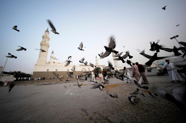 Một em nhỏ chơi đùa với những chú bồ câu ở nhà thờ Hồi giáo Al-Quba, sau lễ cầu nguyện vào buổi sáng ở Madina, Ả Rập Xê Út, ngày 21/5.