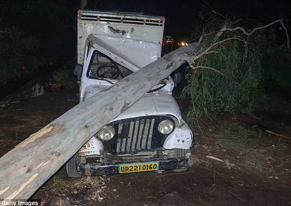 Cây đổ đè bẹp một chiếc ô tô. Ảnh: Getty.