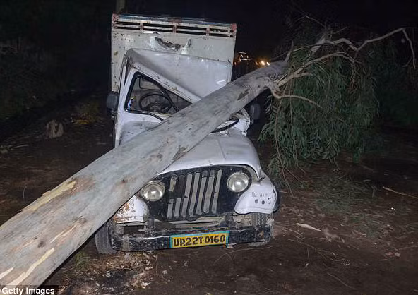 Cây đổ đè bẹp một chiếc ô tô. Ảnh: Getty.