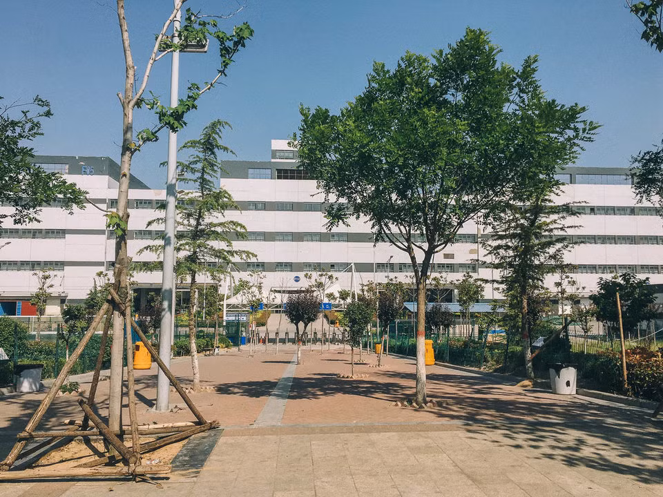 Công nhân nhà máy iPhone Foxconn cho biết, họ thường thức dậy vào 6h30, đến nhà máy lúc 7h, sau đó ăn sáng và bắt đầu làm việc lúc 8h. Ca làm việc kết thúc vào 17h chiều mỗi ngày và có thể làm thêm giờ.