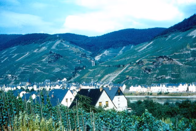 Đô thị Zell bên sông Mosel.