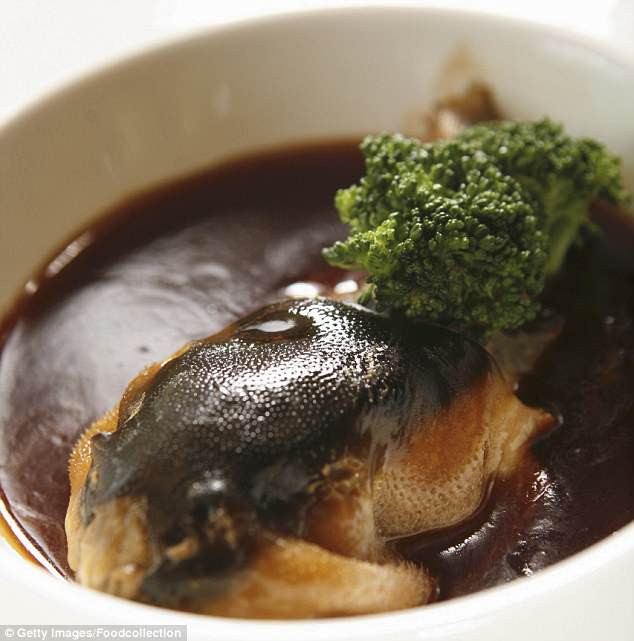 Giới siêu giàu Trung Quốc săn lùng "hóa thạch sống" làm đặc sản.