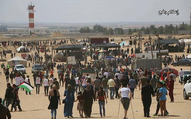 Hình ảnh những người dân Palestine di chuyển về khu vực biên giới phía đông Gaza để tham gia vào cuộc biểu tình. Ảnh: Twitter.