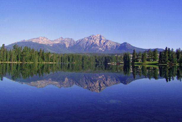 Nơi đây nổi tiếng với nhiều loài động vật hoang dã như gấu xám Bắc Mỹ, gấu đen, tuần lộc núi, nai,...