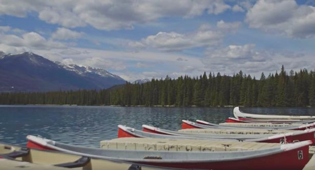 Khu nghỉ dưỡng có nhiều hoạt động cho du khách tham gia như chơi golf, cưỡi ngựa, chèo thuyền,...