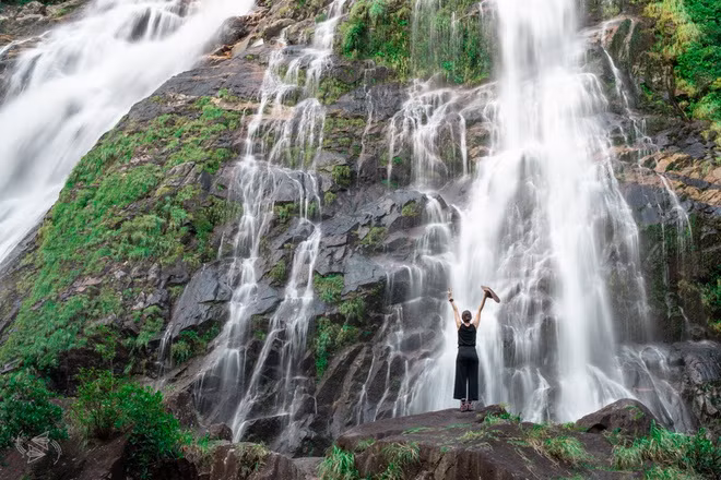 Với shinrin-yoku, bạn có thể tạm quên đi những vật dụng công nghệ thường ngày, đi vào rừng và trải nghiệm giác quan. Tại đây, bạn sẽ dành thời gian để lắng nghe âm thanh xung quanh như tiếng chim hót ríu rít, tiếng suối chảy róc rách... hoặc trực tiếp chạm vào lớp rêu xanh mượt, những viên đá bóng nhẵn hay vỏ cây xù xì. Bạn cũng sẽ hít thở không khí trong lành, ngắm nhìn khung cảnh xung quanh như hình dạng những chiếc lá in trên bầu trời...