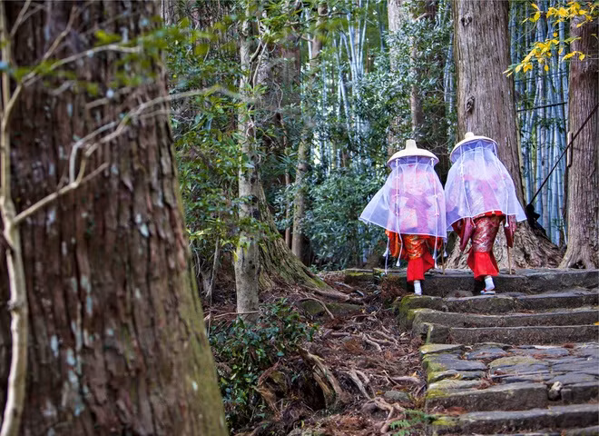Shinrin-yoku là văn hóa "tắm rừng" ở Nhật Bản, được hiểu như những thực hành đơn giản, liên quan đến trị liệu thông qua việc dành thời gian ở trong rừng. Nhiều chuyên gia đồng ý rằng shinrin-yoku tốt cho cả sức khỏe thể chất lẫn tinh thần của mọi lứa tuổi, "giải độc" cho cuộc sống đô thị bận rộn của không ít người.