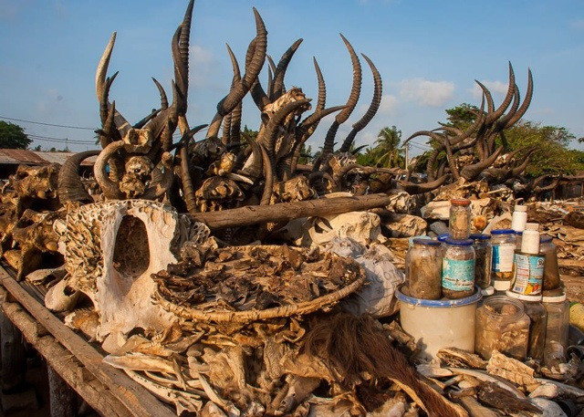 Khi gặp rắc rối vì bệnh tật, các vấn đề về mối quan hệ hoặc tai ương về tài chính, nhiều người dân ở quốc gia Togo, Tây Phi sẽ đi đến chợ tâm linh Akodessewa.