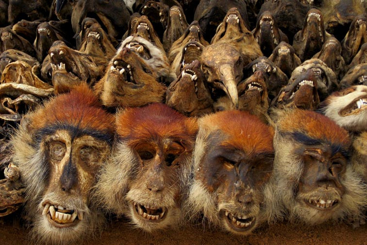 Những điều này đã khiến cho ngôi chợ trên thực tế là một "hiệu thuốc" khổng lồ, và mặc dù điều này chưa hẳn là xấu, nhưng chắc chắn du khách đến đây phải có một tinh thần thép mới giữ được sự bình tĩnh trước những cái đầu đang nhe răng của những con báo, linh cẩu, hay những hộp sọ không thể nhận ra là của con vật nào tại các sạp hàng ở khắp chợ. 