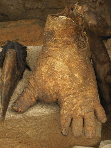 Nằm ở thủ đô Lomé, chợ có một dãy bàn xếp chồng lên nhau với đầu chó, chân voi, bàn chân tinh tinh, các bộ xương, xác rắn hổ mang và sọ khỉ đột. Đây là nguyên liệu làm bùa hoặc các vật thể truyền vào sức mạnh của thần thánh được sử dụng để chữa bệnh và giúp giải quyết những rắc rối.