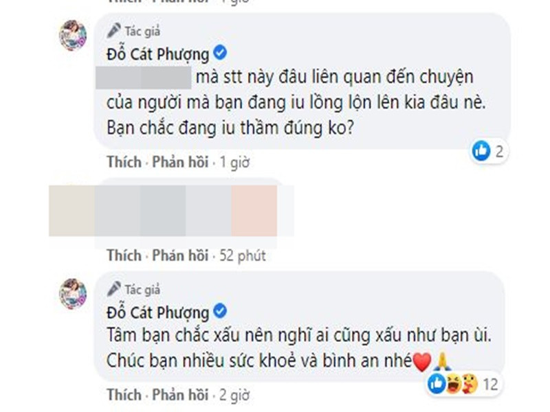 Antifan viết: "Lái lắm cũng mỏi tay thôi, tha cho em nó, đừng chia tay xong rồi chơi bầy đàn dìm em nó không ngóc đầu lên là được". Trước sự công kích từ antifan, Cát Phượng liên tục đáp trả. Ảnh: chụp màn hình