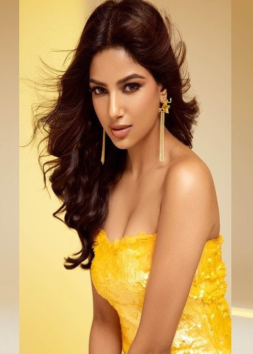 Harnaaz tham gia một số cuộc thi nhan sắc trước khi thi quốc tế và đạt thành tích Timesfreshface Miss Chandigarh 2017, Miss Max Emerging Star 2018 India, Femina Miss India Punjab 2019. Ảnh: Miss Diva