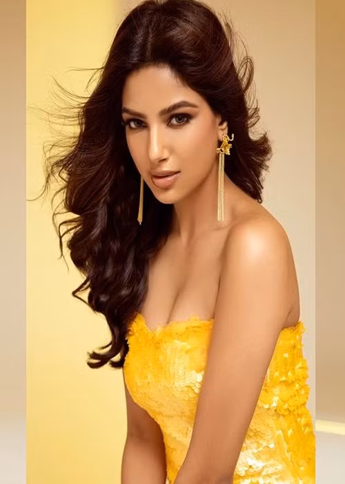 Harnaaz tham gia một số cuộc thi nhan sắc trước khi thi quốc tế và đạt thành tích Timesfreshface Miss Chandigarh 2017, Miss Max Emerging Star 2018 India, Femina Miss India Punjab 2019. Ảnh: Miss Diva