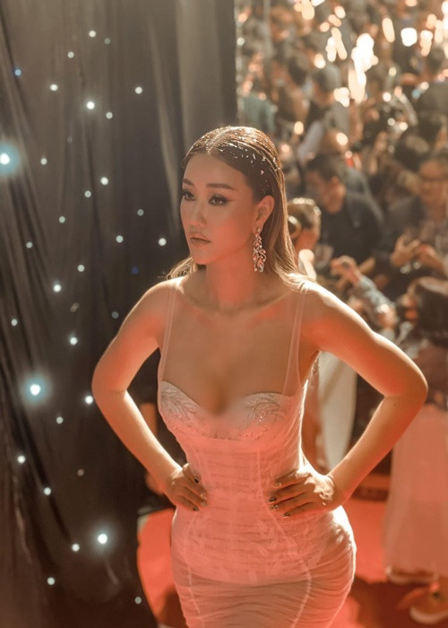 Năm 2017, nữ ca sĩ chi hơn 800 triệu đồng để dao kéo gương mặt và vòng một.