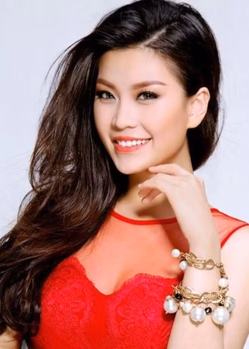 Sau khi đoạt danh hiệu Á hậu 2 Hoa hậu Việt Nam 2014, Diễm Trang nhận được lời đề nghị đại diện Việt Nam tại Hoa hậu Hoàn vũ Thế giới 2015. Thế nhưng, người đẹp khước từ lời mời với lý do muốn tĩnh dưỡng sau cuộc thi cũng như thời gian chuẩn bị quá gấp rút.