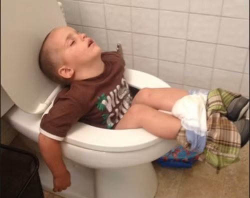 Ngủ trên bồn cầu chắc cũng thoải mái.