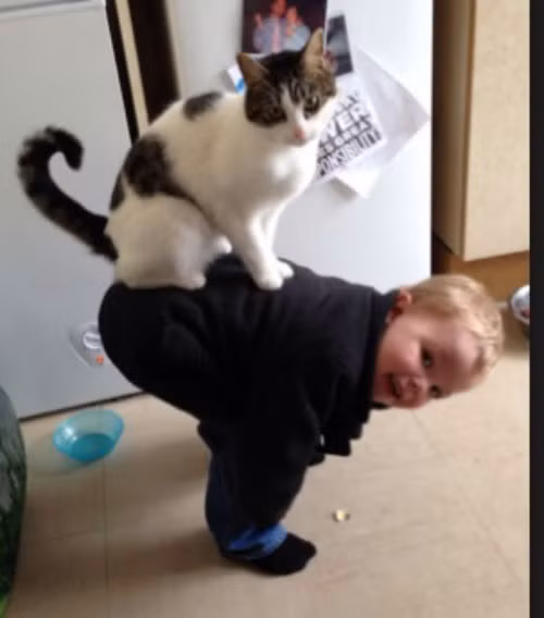 Mẹo cũng nặng lắm đấy nhé!