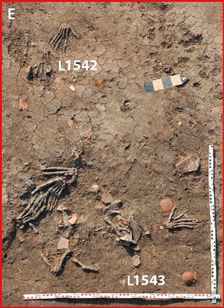 Cung điện - nơi phát hiện 12 bàn tay người trên - được các nhà nghiên cứu cho rằng được xây dựng trong Vương triều thứ 15 (khoảng năm 1640 trước Công nguyên - 1530 trước Công nguyên).