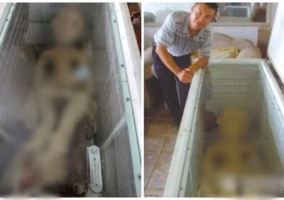 5 ngày sau khi công bố bức ảnh chụp xác người ngoài hành tinh, ông Li bị cảnh sát bắt giữ vì “làm xáo trộn trật tự công cộng”. Nguyên do là bởi tại cơ quan điều tra, người đàn ông này khai nhận xác người ngoài hành tinh được ông làm giả từ cao su và các vật liệu khác với chi phí khoảng 360.000 đồng. Mục đích của ông là thu hút sự quan tâm, hiếu kỳ của công chúng.