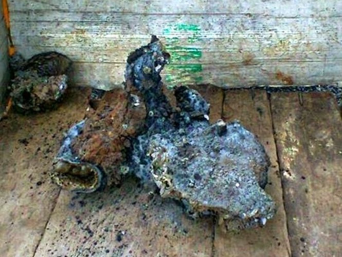 Theo những hình ảnh được công bố, thi thể sinh vật được cho là người ngoài hành tinh bị cháy đen. Một số nhân chứng kể rằng, khi vụ nổ xảy ra, họ nhìn thấy ánh sáng màu xanh trước khi có những vật thể rơi xuống mặt đất.