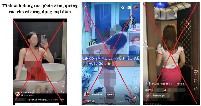 Khong chi TikTok, Facebook va YouTube cung co nhieu vi pham tai Viet Nam-Hinh-2