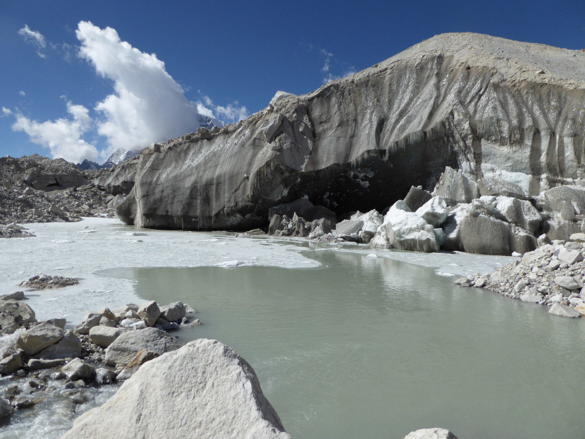 Không chỉ con người, các loài động vật hoang dã sống ở đỉnh Everest có thể đối mặt với mối đe dọa gia tăng khi các sông băng tan chảy như mất môi trường sống, ảnh hưởng đến nguồn thức ăn hay bị lũ lụt cuốn trôi và chết hàng loạt.