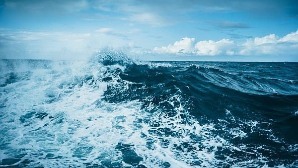 Mirusvirus chia sẻ một số lượng gen đáng kinh ngạc với một nhóm virus khổng lồ khác được gọi là Varidnaviria.