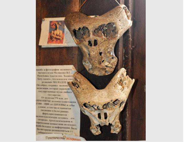 Đầu tiên là việc 2 hộp sọ có hốc mắt to hơn người hiện đại rất nhiều. Tiếp đến, các nhà nghiên cứu phát hiện những hộp sọ này không có phần xương hàm.