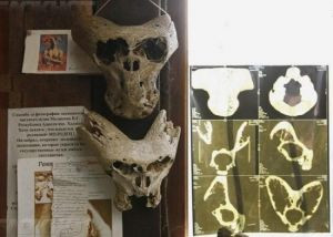 Ngoài 2 hộp sọ, bên trong chiếc hộp còn có một tấm bản đồ vẽ Adygey do người Đức thực hiện. Các chuyên gia vô cùng bất ngờ bởi tấm bản đồ có độ chính xác cao.