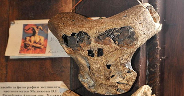 Hai hộp sọ này được đặt bên trong một chiếc hộp hình chữ nhật, bên ngoài có khắc chữ giống như của tổ chức bí mật Ahnenerbe của Đức hoạt động từ năm 1939 - 1945.