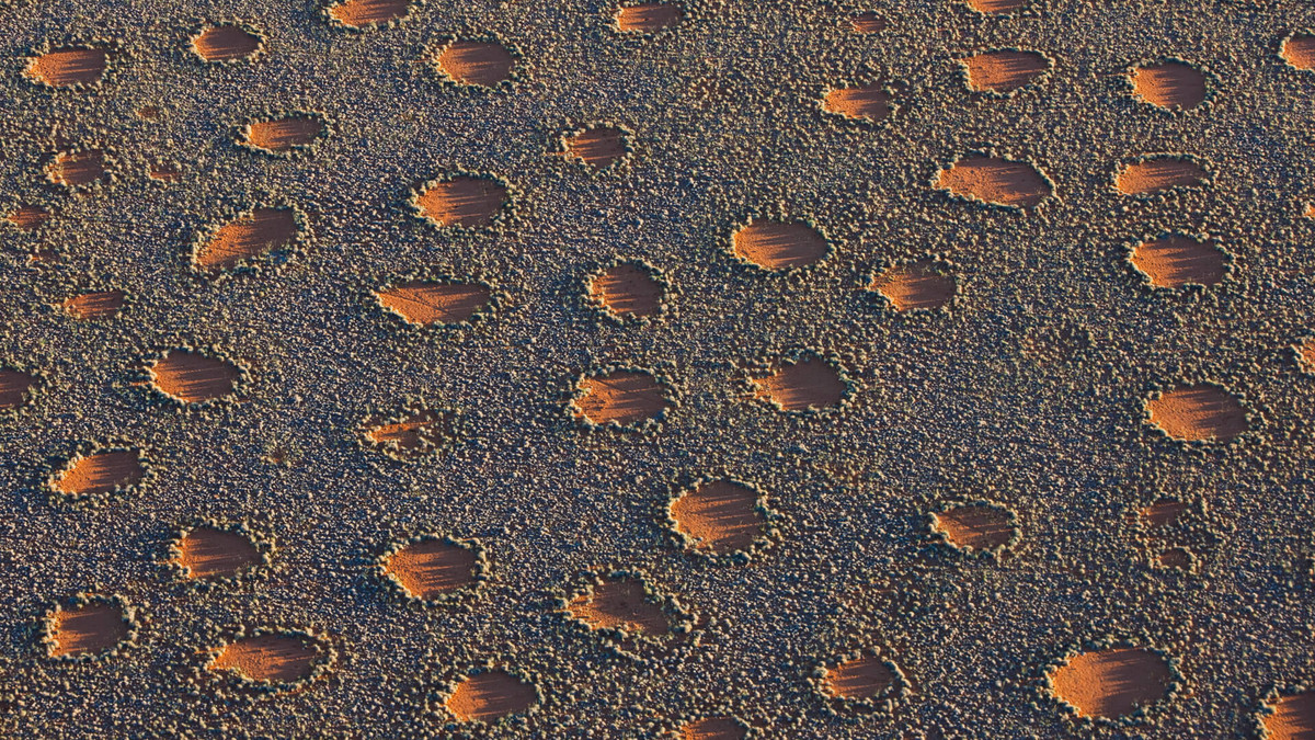 Trong suốt nhiều thập kỷ qua, các chuyên gia cố gắng giải mã nguồn gốc của các "vòng tròn thần tiên". Họ đưa ra một số giả thuyết về cách những vòng tròn này được tạo thành.