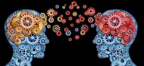 Một điểm chung thú vị khác là thiên tài không ngừng học hỏi, trau dồi kiến thức. Mỗi ngày, họ cố gắng học hỏi thêm những điều mới lạ thông qua đọc sách hay trò chuyện với những người có chung đam mê...