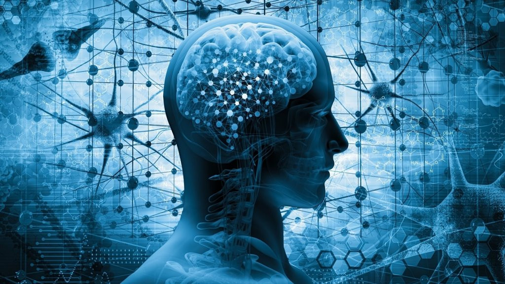 Đối với thiên tài, cơ hội không tự nhiên tìm đến. Thay vào đó, họ biết cách tạo ra cơ hội và nắm bắt kịp thời để theo đuổi đam mê.