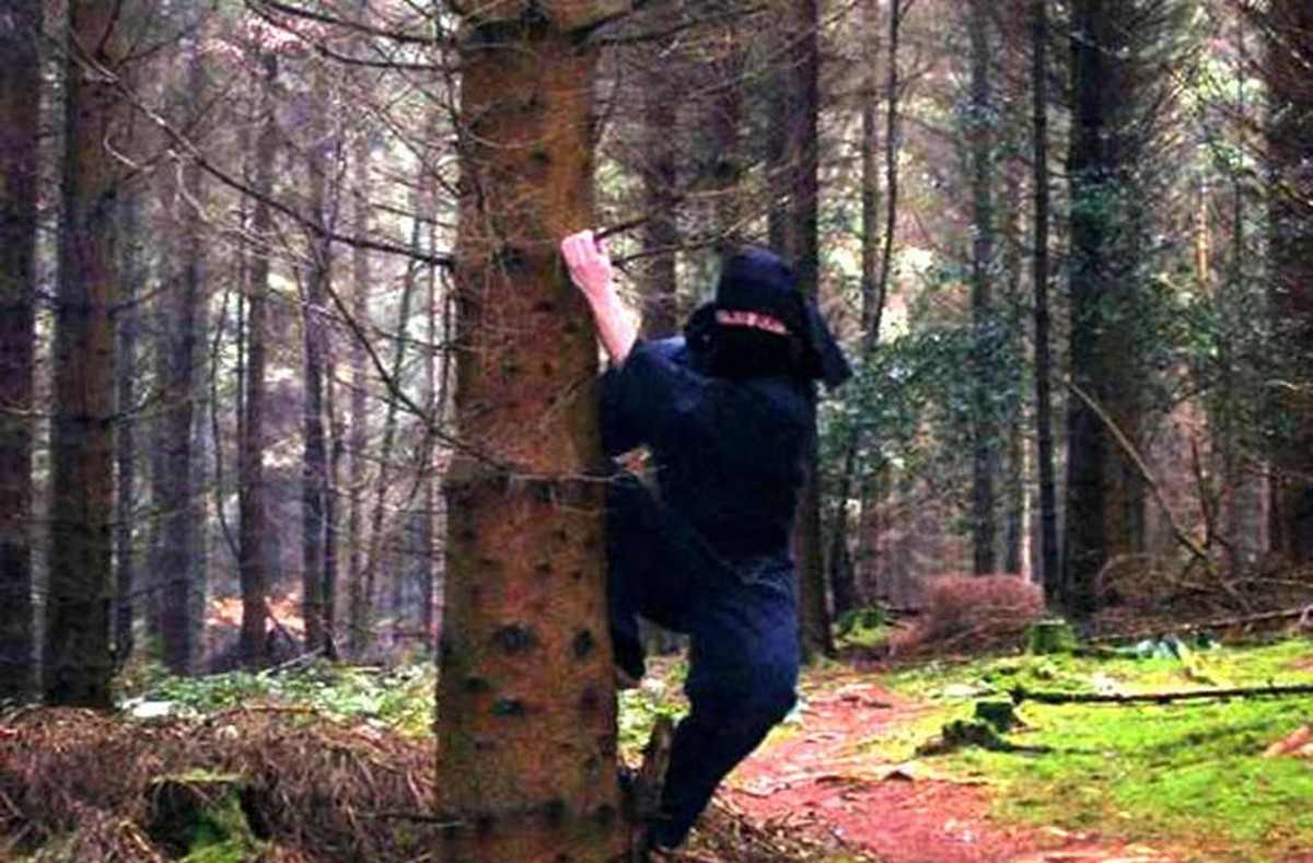 Những nhiệm vụ chính của ninja bao gồm: gián điệp, phá hoại, xâm nhập, ám sát. Đôi khi, lực lượng này có thể tham gia các cuộc chiến giữa các lãnh chúa.