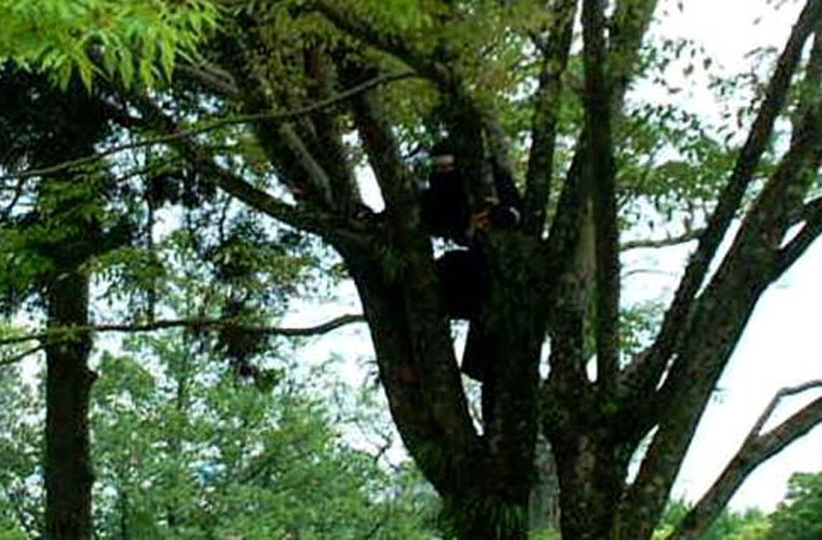 Ngoài ra, ninja rất giỏi ngụy trang. Tùy từng nhiệm vụ, ninja sẽ mặc những trang phục có có thể hòa lẫn với môi trường xung quanh. Ví dụ như khi họ làm nhiệm vụ trong rừng thì sẽ mặc trang phục trùng với màu của cỏ cây hoa lá. Nhờ vậy, khả năng thành công của mỗi nhiệm vụ sẽ cao hơn.