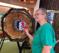 Con chó săn đó được đặt tên là Stuckie. Nó trở thành một trong những "nhân vật" được nhiều người ghé thăm nhất khi tới bảo tàng Forest World.