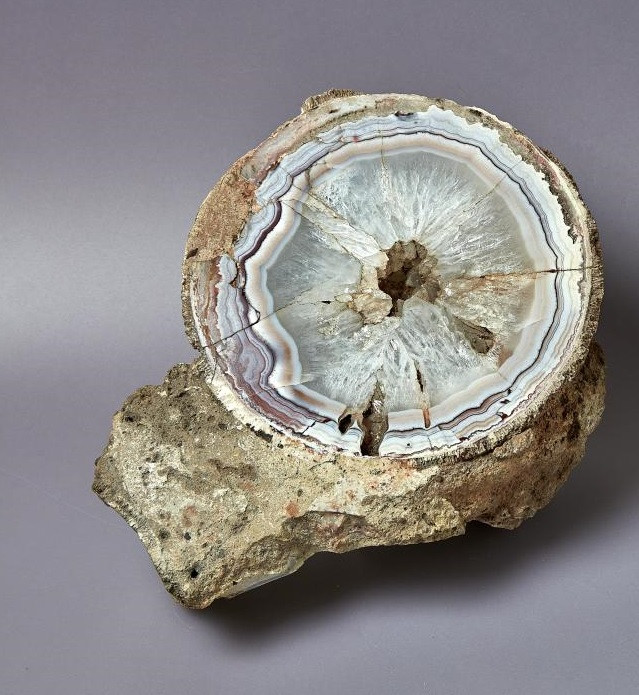 Quả trứng khủng long titanosaur hóa thạch có chiều rộng khoảng 15 cm và gần như tròn hoàn hảo.