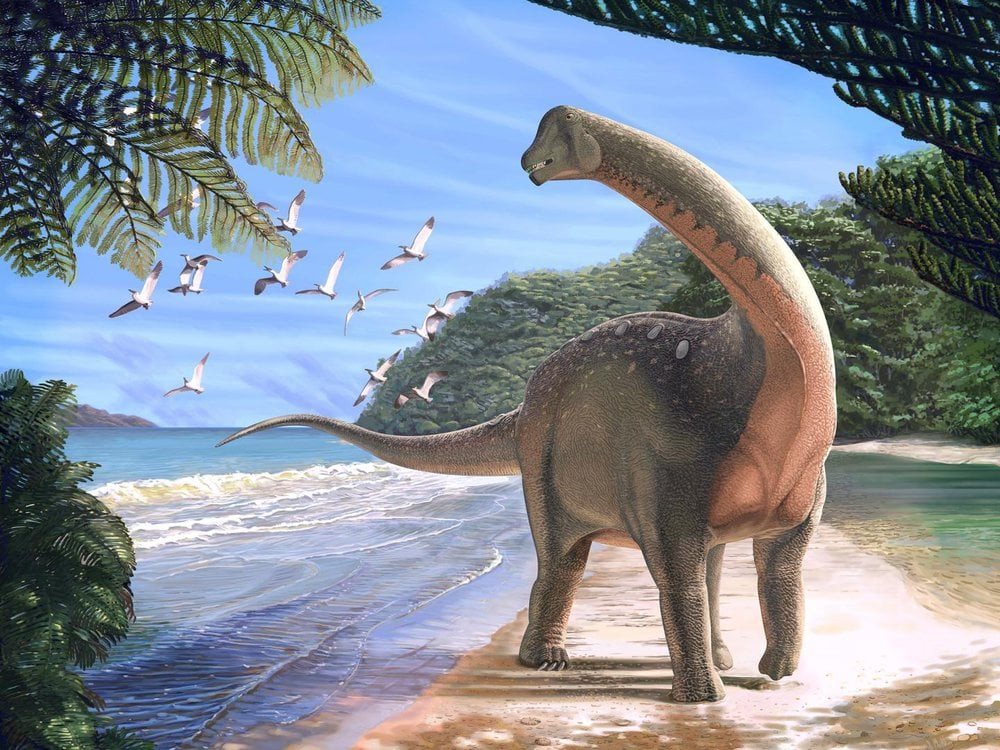 Với những điều trên, các nhà nghiên cứu đi đến kết luận đó là trứng khủng long titanosaur hóa thạch nhưng đã bị hiểu lầm là đá mã não trong suốt nhiều năm. Theo ước tính, quả trứng quý hiếm này có niên đại khoảng 60 triệu năm tuổi. Vào thời điểm đó, titanosaur là loài khủng long phổ biến nhất sống ở Ấn Độ. Mặc dù có kích thước khổng lồ nhưng titanosaur chỉ đẻ khoảng 30 - 40 quả/lần.