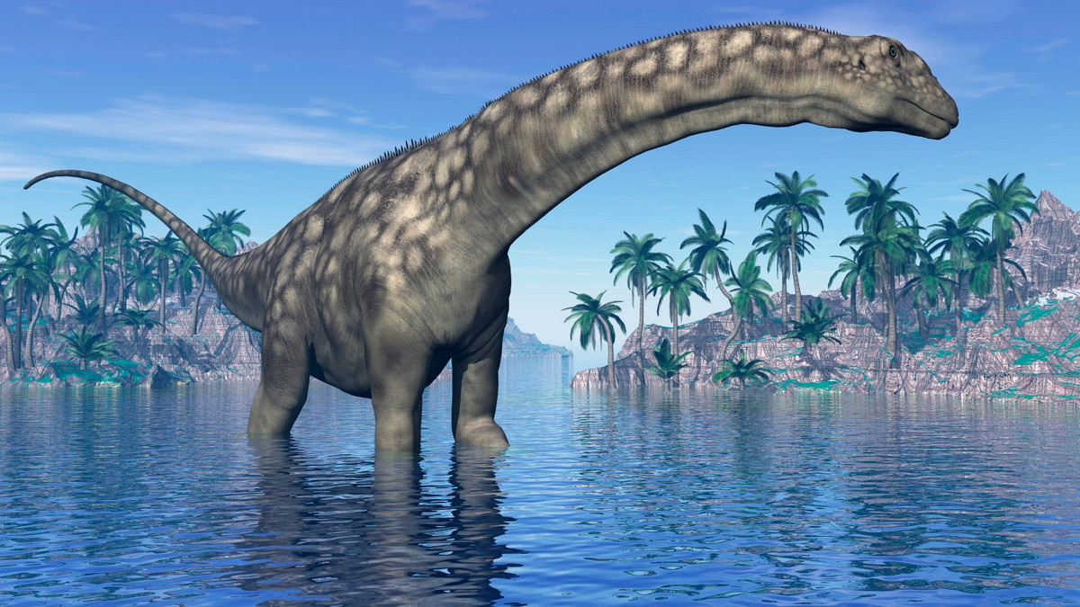 Theo các chuyên gia, do tác động của hoạt động phun trào núi lửa nên quả trứng của khủng long titanosaur bị bao bọc bởi đá cứng. Cấu trúc bên trong bị phân hủy và nước giàu silic thấm xuyên qua lớp đá vào trong quả trứng tạo thành mẫu vật mà giới chuyên gia hiểu nhầm là mã não trong thời gian dài.