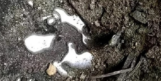 Căn cứ vào hình dáng và cấu trúc của ngôi mộ cũng như các hiện vật tùy táng, các chuyên gia xác định nơi này có niên đại vào thời nhà Liêu.