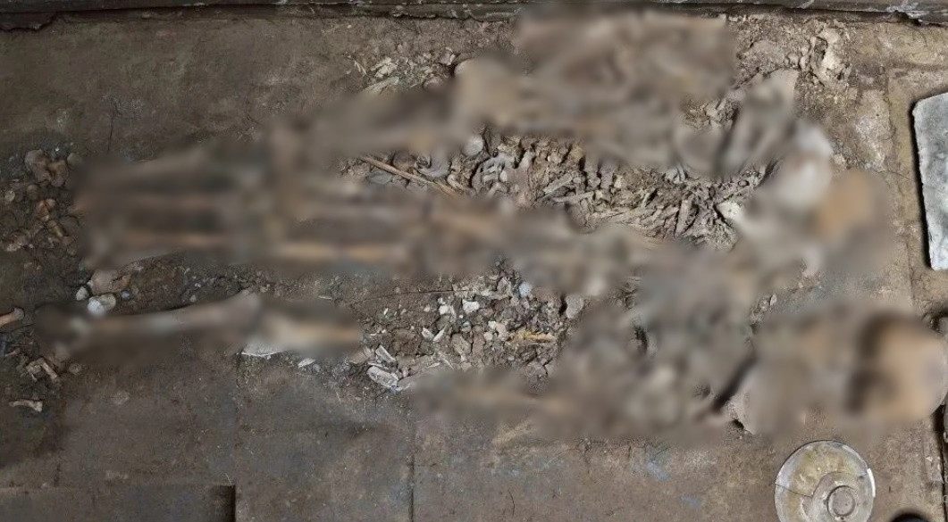 Thông qua các kiểm tra, các nhà nghiên cứu xác định được 2 người lớn và 1 trẻ em được chôn cất trong mộ cổ trên. Hai người lớn qua đời khi khoảng 50 - 60 tuổi. Trong khi đó, đứa trẻ tử vong khi khoảng 6 - 8 tuổi.