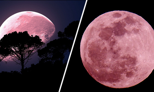 Thêm nữa, "trăng hồng" rơi vào dịp lễ Phục sinh của người theo đạo Thiên Chúa giáo, thường diễn ra vào Chủ nhật đầu tiên của tháng 4. Năm 2023, lễ Phục sinh của những người theo đạo Tin lành rơi vào ngày 9/4 trong khi lễ Phục sinh của người theo đạo Cơ đốc giáo chính thống là ngày 13/4, ngày được cho là Chúa Jesus sống lại và lên thiên đàng.